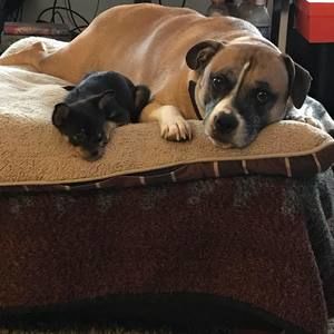 Meet your Posher, Terryanne